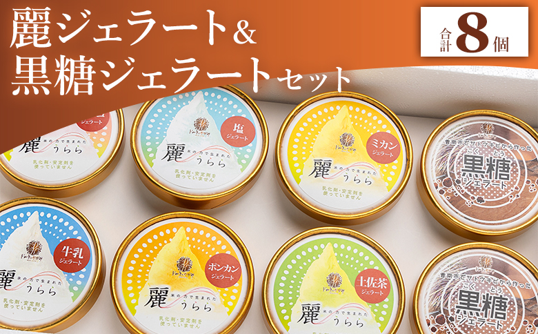 麗ジェラートと黒糖ジェラート 8個セット dc-0072高知県香南市17000菓子・スイーツアイス・ジェラート