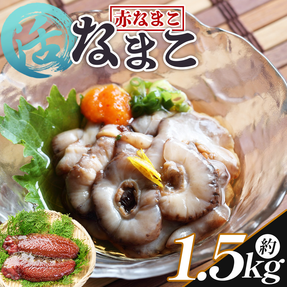 活ナマコ 1.5kg 赤ナマコ - 国産 産地直送 赤なまこ なまこ ナマコ 海鼠 海産物 海鮮 魚介類 刺身 刺し身 炒め物 塩辛 このわた えび蔵 高知県 香南市 冷蔵 eb-0013高知県香南市21000魚介・海産物