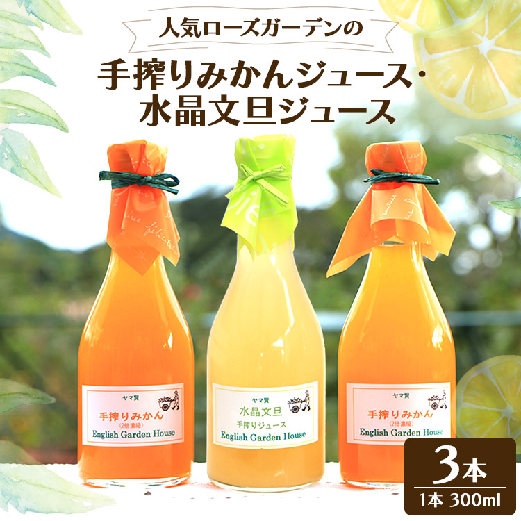 lC[YK[f݂̎EUW[X 300ml×3{ -  ZkҌ ݕ t[c ʕD ̂ v[g Mtg W[XD p 蕨 m s 퉷 eh-0022m