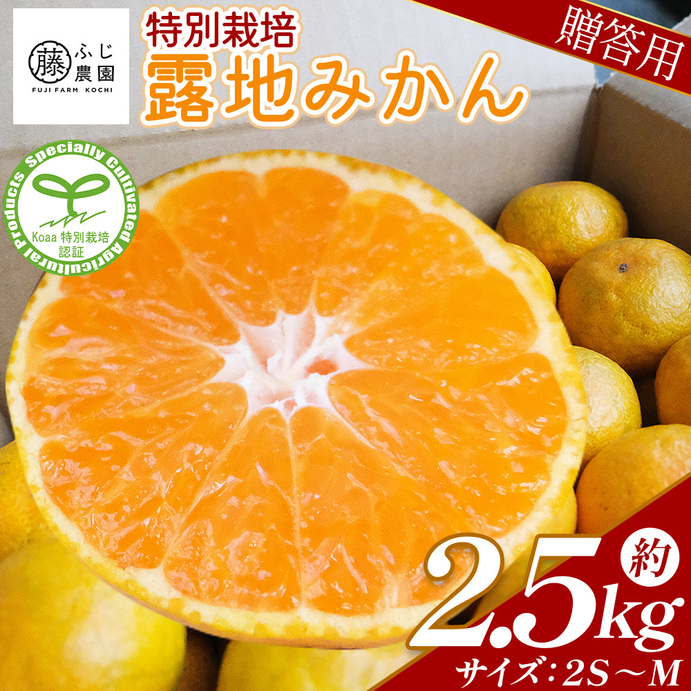 ふじ農園の露地みかん 贈答用 2.5kg (2S〜M) - 国産 蜜柑 ミカン 柑橘 果物 フルーツ 贈答 プレゼント ギフト 贈り物 ふじ農園 高知県 香南市 常温  fn-0001高知県香南市11500果物・フルーツみかん