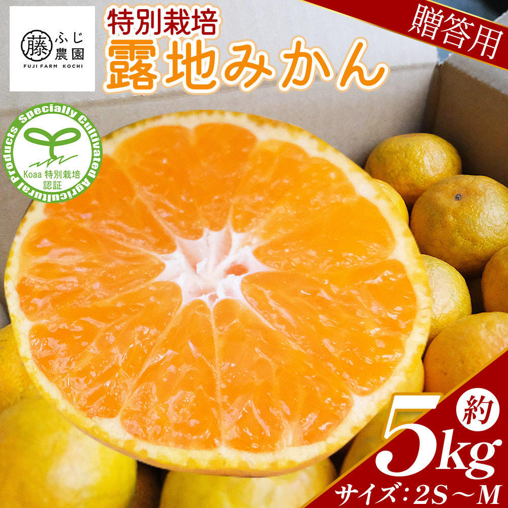 ふじ農園の露地みかん 贈答用 5kg (2S〜M)  - 国産 蜜柑 ミカン 柑橘 果物 フルーツ 贈答 プレゼント ギフト 贈り物 ふじ農園 高知県 香南市 常温  fn-0002高知県香南市17000果物・フルーツみかん・
