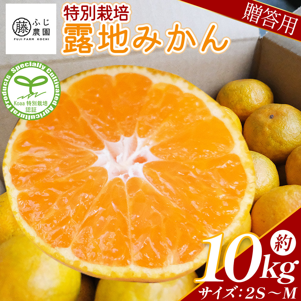 ふじ農園の露地みかん 贈答用 10kg (2S〜M)  - 国産 蜜柑 ミカン 柑橘 果物 フルーツ 贈答 プレゼント ギフト 贈り物 ふじ農園 高知県 香南市 常温  fn-0003高知県香南市30000果物・フルーツみかん