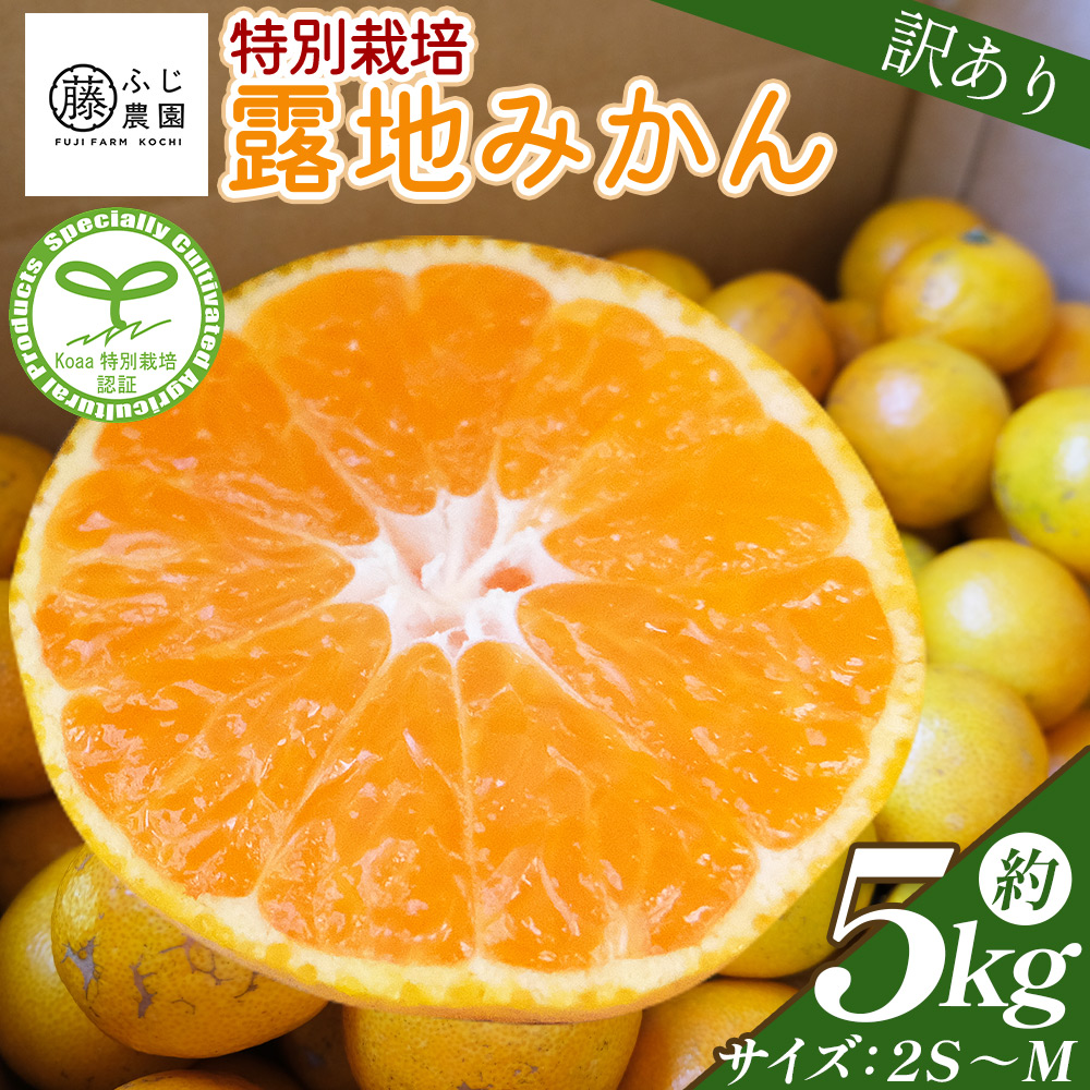 ふじ農園の露地みかん 訳あり品 5kg (2S〜M)  - 国産 蜜柑 ミカン 柑橘 果物 フルーツ 訳アリ ご家庭用 家庭用 自宅用 ふじ農園 高知県 香南市 常温 fn-0005高知県香南市14000果物・フルーツみかん