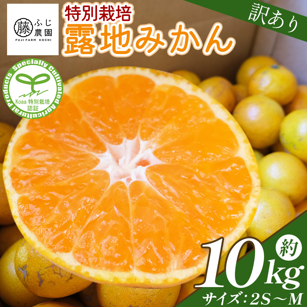 ふじ農園の露地みかん 訳あり品 10kg (2S〜M)  - 国産 蜜柑 ミカン 柑橘 果物 フルーツ 訳アリ ご家庭用 家庭用 自宅用 ふじ農園 高知県 香南市 常温 fn-0006高知県香南市24000果物・フルーツみかん