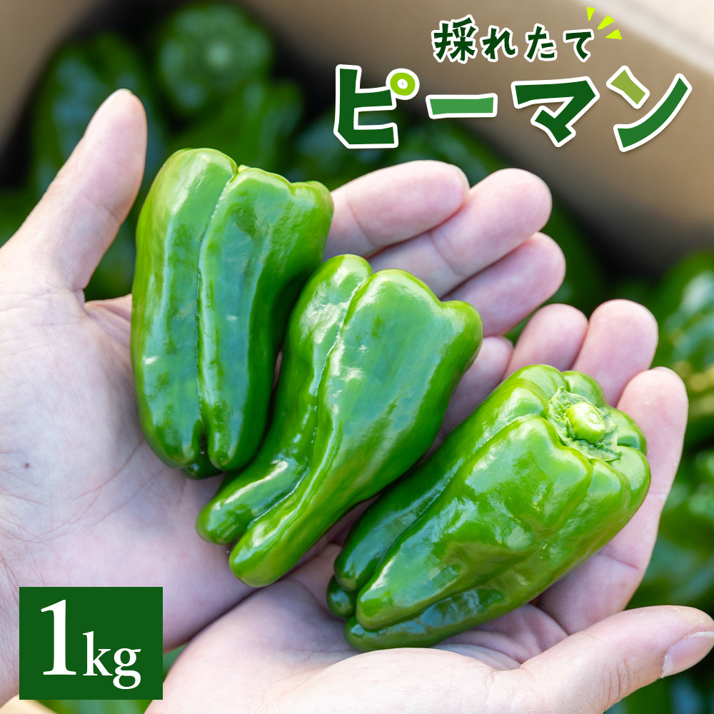 ystzmsŶꂽăs[}1kg -  ₳ VN Y  uߕ l  m s ① im-0001ms7500؁Ê̑ 