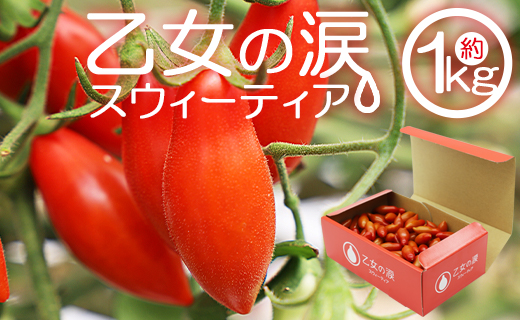 ~jg}g x 1kg t[cg}g st ̗ XEB[eBA -  ₳ v`g}g  Mtg ̂Ή x  H g}gD is-0016ms15000؁E