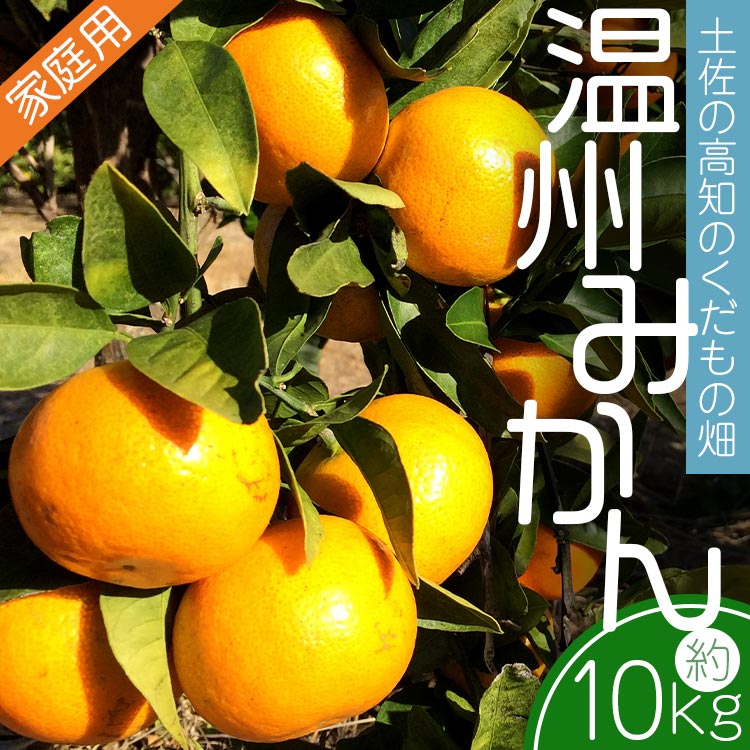 土佐の高知のくだもの畑 みかん(家庭用)10kg(5kg箱×2)  - 温州みかん ミカン 訳アリ わけあり 蜜柑 ミカン 柑橘 柑橘類 フルーツ 果物 くだもの ご家庭用 ご自宅 美味しい おいしい kd-0027高知県
