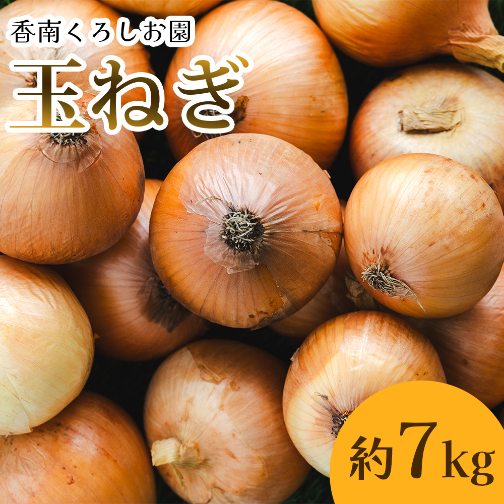 玉ねぎ 約7kg(大小混合・家庭用)- 香南市産 国産 たまねぎ タマネギ 玉葱 野菜 オニオンスープ ハンバーグ 常備野菜 保存野菜 香南くろしお園 高知県 香南市 ke-0005高知県香南市8000野菜・き