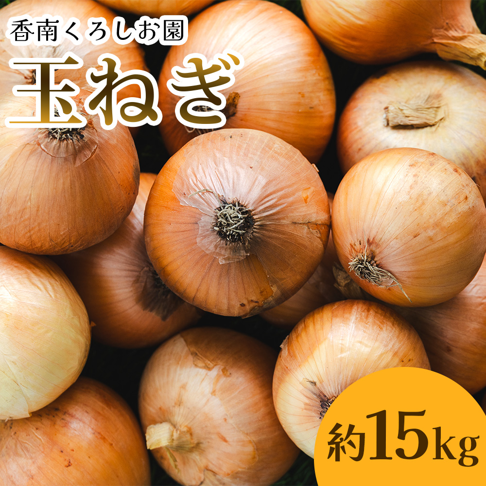 玉ねぎ 約15kg(大小混合・家庭用)- 香南市産 国産 たまねぎ タマネギ 玉葱 野菜 オニオンスープ ハンバーグ 常備野菜 保存野菜 香南くろしお園 高知県 香南市 ke-0007高知県香南市12500野菜・