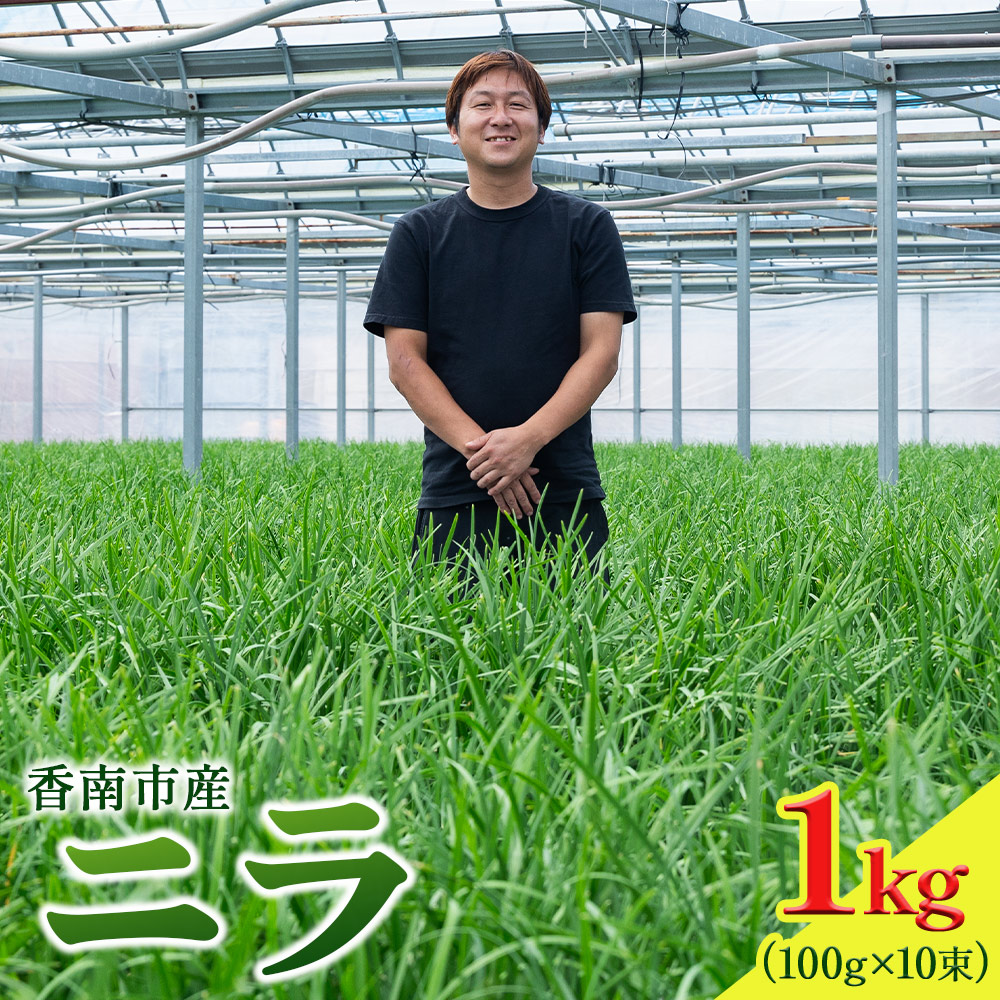 ニラ 生産量日本一 香南市産のニラ 1kg(100g×10束)- にら 韮 生 野菜 やさい 香味野菜 葉物 新鮮 料理 アレンジ 炒めもの 炒め物 煮物 鍋 なべ もつ鍋 産地直送 国産 公文農園 高知県 kk-0001高