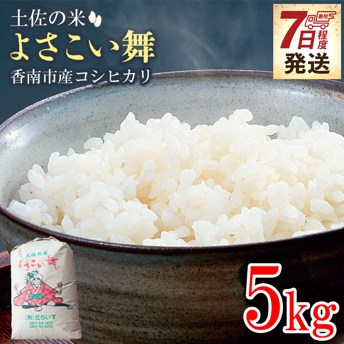 【7日程度で発送】新米 令和7年産 コシヒカリ 土佐の米 よさこい舞 5kg -  こしひかり 米 コメ おこめ 白ご飯 ごはん おにぎり 一人暮らし ひとりぐらし 贈り物 ギフト 贈答 早い 早く届く ス