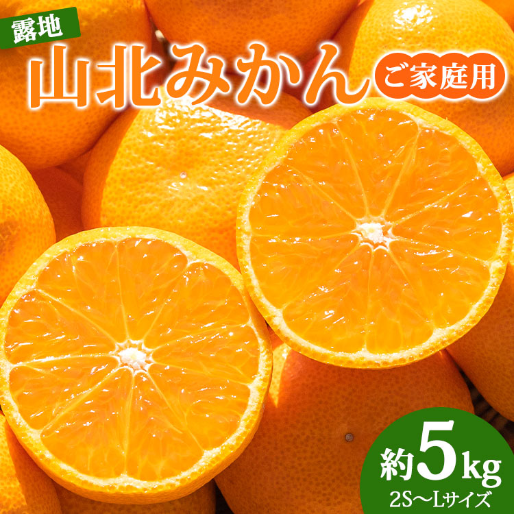 山北みかん 減農薬 優品 約3kg 生産者限定 温州みかん お歳暮