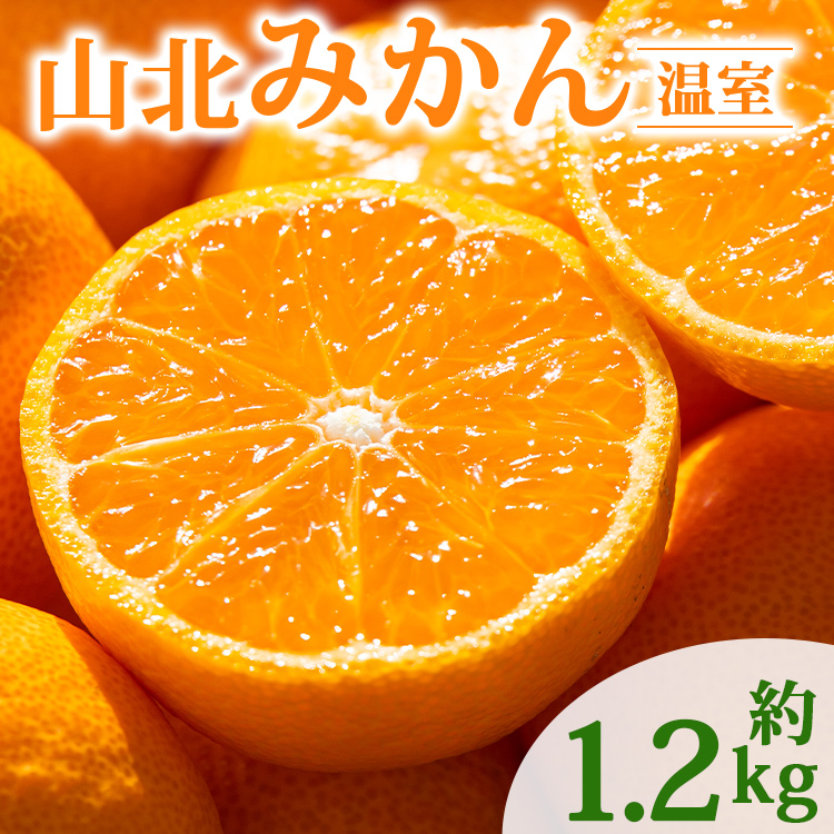 y2026NzRk݂1.2kg Gi ʕ k ~J  t[c ku-0050ms11000ʕEt[c݂Ek