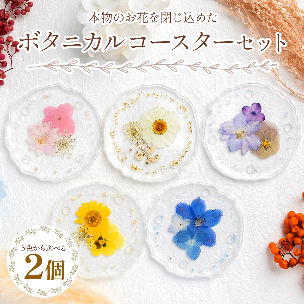 {̂Ԃ߂ {^jJ R[X^[ 2Zbg - G     LO a ̓ v[g 蕨 Mtg LIME m s lm-0005ms13500G