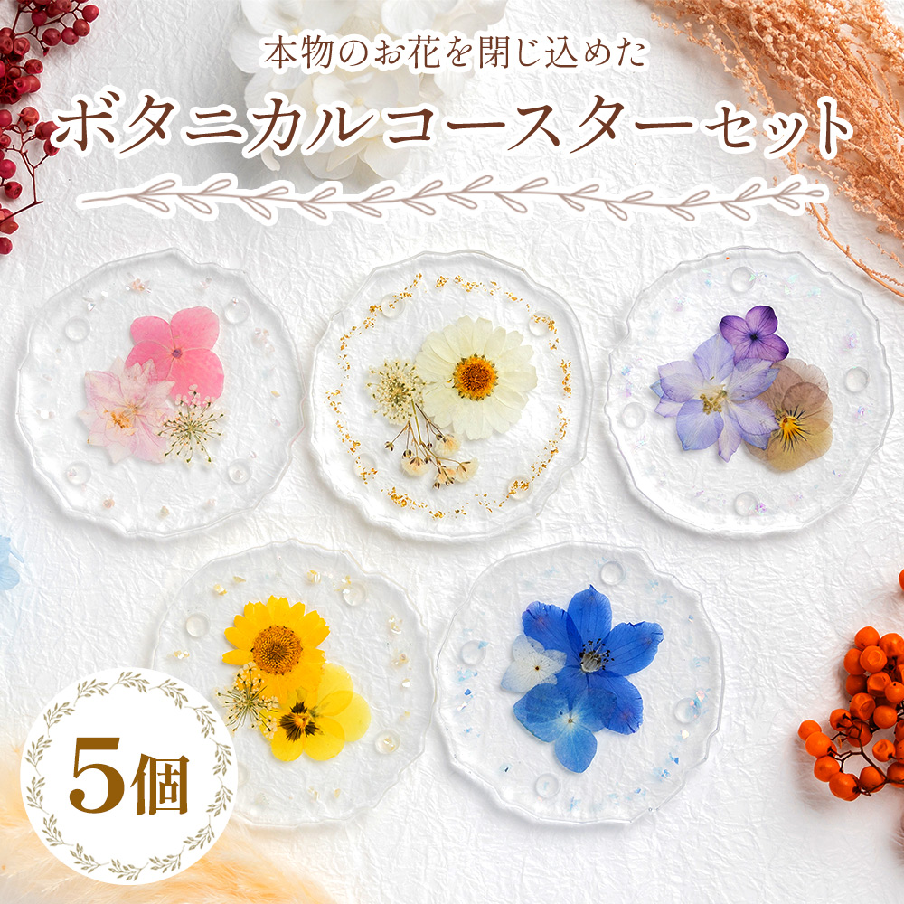 {̂Ԃ߂ {^jJ R[X^[ 5Zbg - G     LO a ̓ v[g 蕨 Mtg LIME m s lm-0006ms25000G