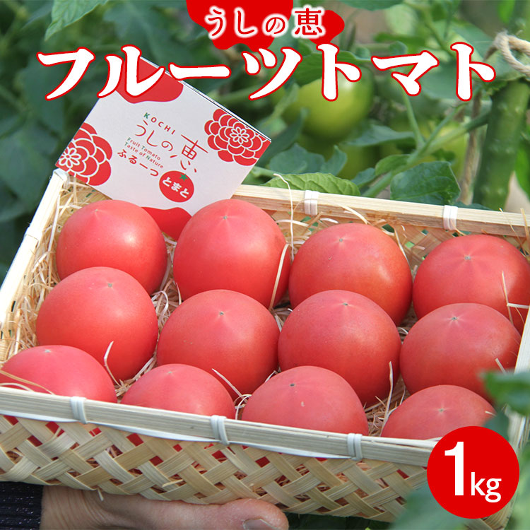 野菜ソムリエが育てた うしの恵 フルーツトマト籠入り1kg mj-0023高知県香南市12500野菜・きのこトマト
