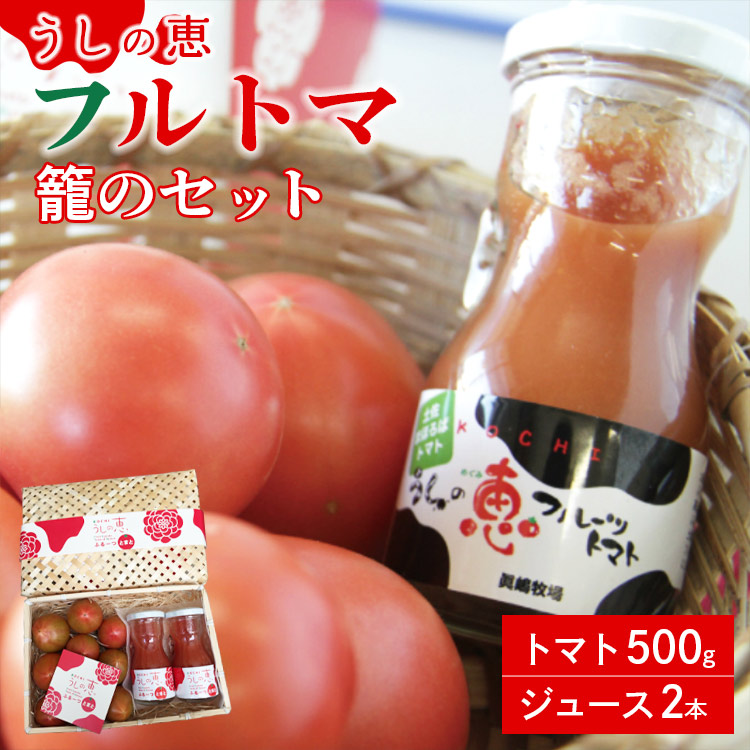 野菜ソムリエが育てた うしの恵 フルトマ籠のセット(フルーツトマト500g+ジュース2本) mj-0024高知県香南市11500野菜・きのこトマト