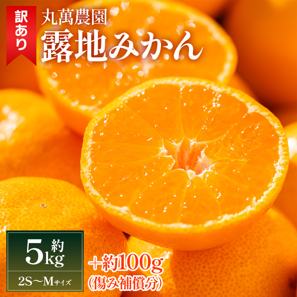 【2025年出荷分】訳あり 露地みかん(2S〜Mサイズ) 5kg+約100g (傷み補償分) 丸萬農園 - 果物 くだもの フルーツ 果実 柑橘 かんきつ 蜜柑 みかん ミカン 果汁 期間限定 家庭用 訳アリ キズ 傷 高