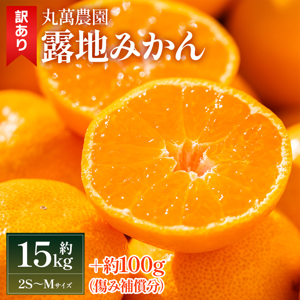 【2025年出荷分】訳あり 露地みかん(2S〜Mサイズ) 15kg+約100g (傷み補償分) 丸萬農園 - 果物 くだもの フルーツ 果実 柑橘 かんきつ 蜜柑 みかん ミカン 果汁 期間限定 家庭用 訳アリ キズ 傷 高