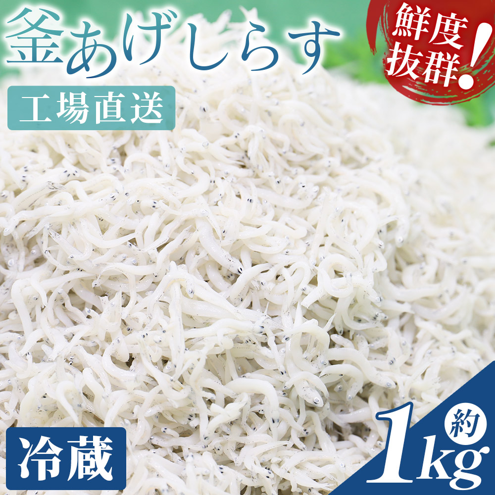 【冷蔵】釜あげしらす(ちりめん) 約1kg - 国産 ちりめん しらす シラス 稚魚 魚介 魚 海産物 天日干し 釜茹で ドロメ サラダ 和え物 アレンジ 料理 ご飯のお供 三浦屋海産 高知県 香南市 冷蔵 m