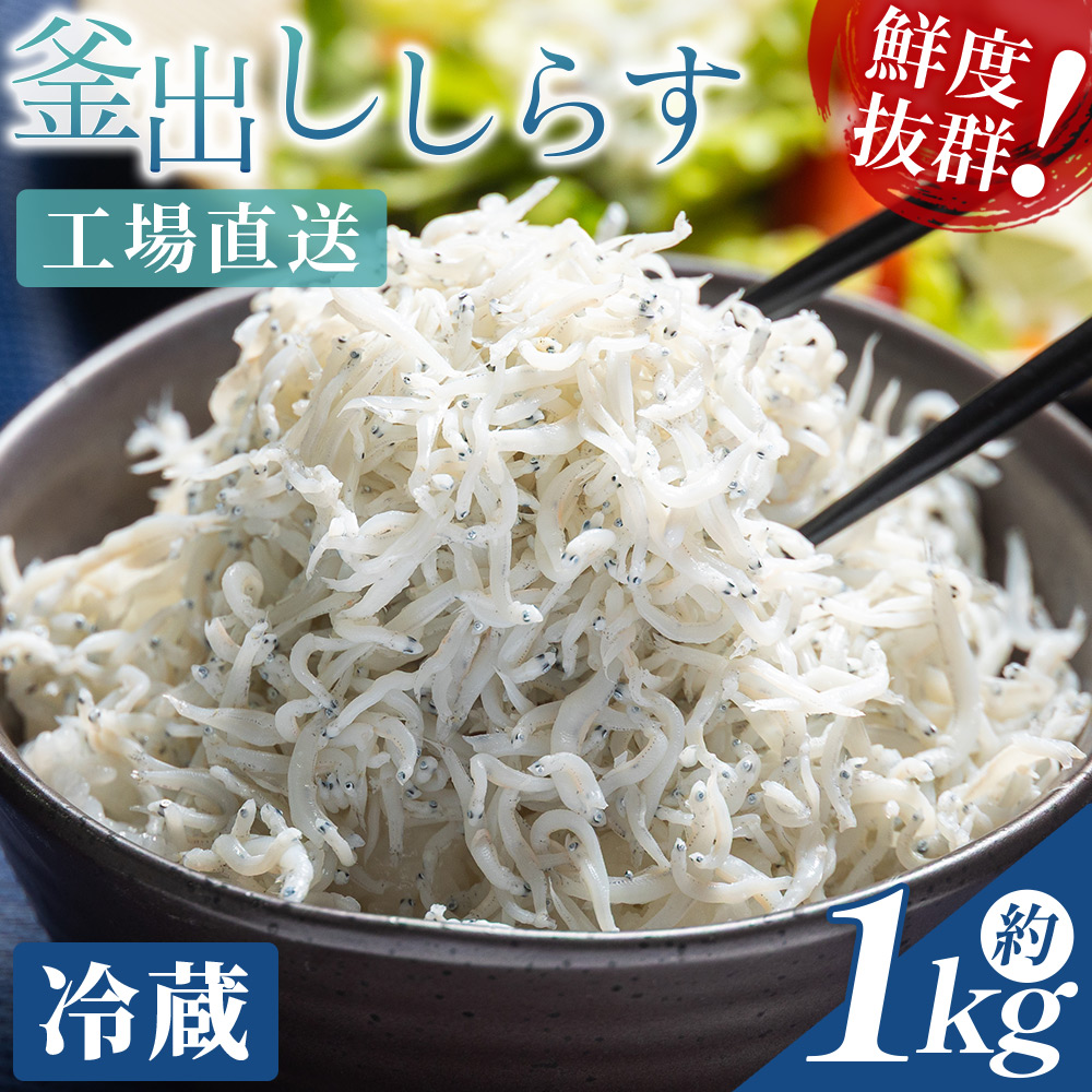 【冷蔵】釜出ししらす(ちりめん) 約1kg - 国産 ちりめん しらす シラス 稚魚 魚介 魚 海産物 釜茹で ドロメ サラダ 和え物 アレンジ 料理 ご飯のお供 三浦屋海産 高知県 香南市 冷蔵 mu-0010高知