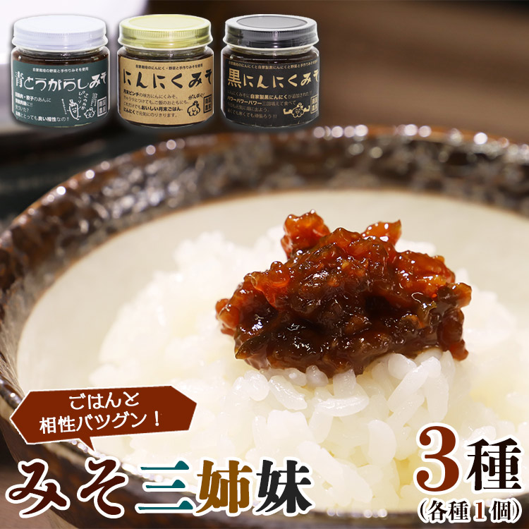 南国農家 ごはんをおいしくする みそ三姉妹(にんにくみそ、黒にんにくみそ、青とうがらしみそ) ng-0005高知県香南市11500調味料・油味噌
