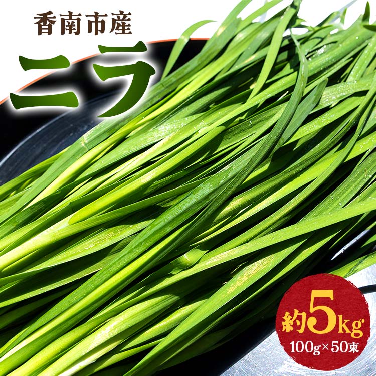 sY j 5kgi100g×50j- ɂ B  ₳ t VN    Lq \ L` `a~ uߕ Ђ  Y  m on-0014ms20500؁Ê