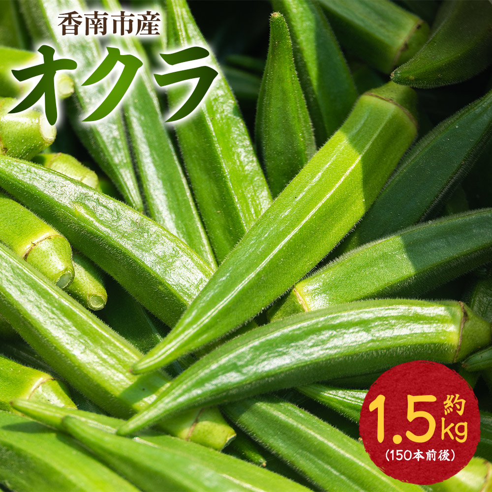 【2026年発送分】オクラ 1.5kg(150本前後) - おくら 野菜 やさい 新鮮 朝どれ 朝採れ 朝収穫 季節 旬 露地栽培 国産 香南市産 おきゃんぴー農園 高知県 香南市 冷蔵 on-0033高知県香南市14500野菜・