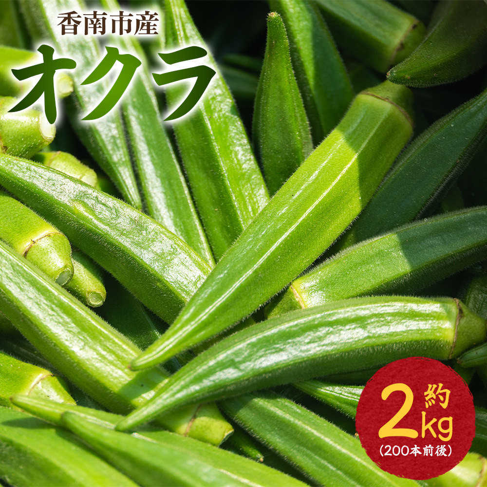 【2026年発送分】オクラ 2kg(200本前後) - おくら 野菜 やさい 新鮮 朝どれ 朝採れ 朝収穫 季節 旬 露地栽培 国産 香南市産 おきゃんぴー農園 高知県 香南市 冷蔵 on-0034高知県香南市18000野菜・き