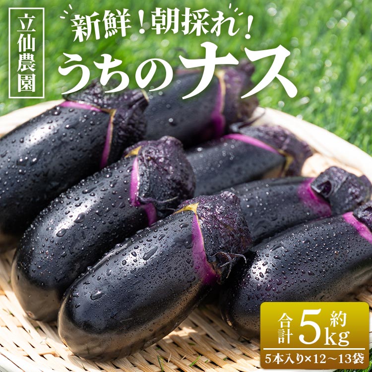 立仙農園 うちのナス 約5kg(5本入り×12〜13袋)- なす 茄子 なすび ナスビ 生鮮野菜 やさい 朝採れ 新鮮 生 1本90g前後 小分け 料理 麻婆 国産 高知県 香南市 rs-0003高知県香南市14000野菜・きの