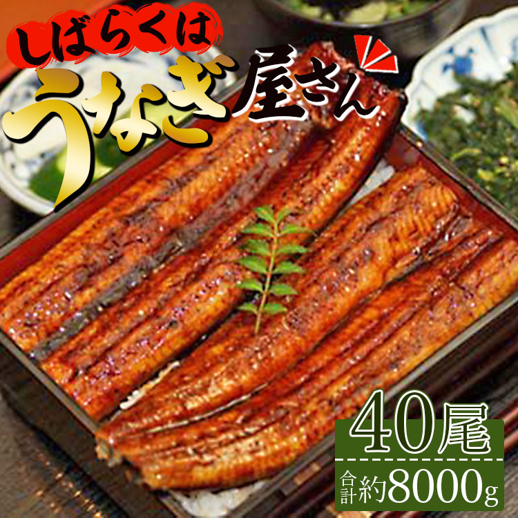 肉厚ふっくら香ばしい 台湾産養殖うなぎ蒲焼 40尾(合計約8000g) ss-0032高知県香南市225000魚介・海産物うなぎ