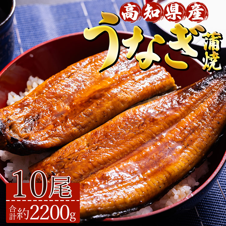 高知県産養殖うなぎ蒲焼 10尾(合計約2200g) - 土用の丑の日 鰻 ウナギ 蒲焼き かば焼き かばやき うな丼 うな重  ギフト お中元 御中元 父の日 お礼 御礼 感謝 贈答 贈り物 須崎市道の駅 高知県
