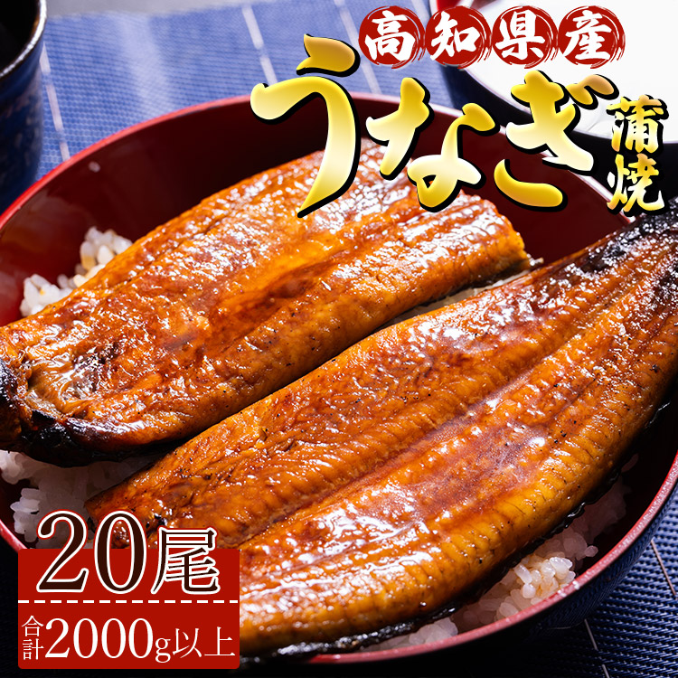 高知県産養殖うなぎ蒲焼 20尾(合計2000g以上) ss-0042高知県香南市90000魚介・海産物うなぎ