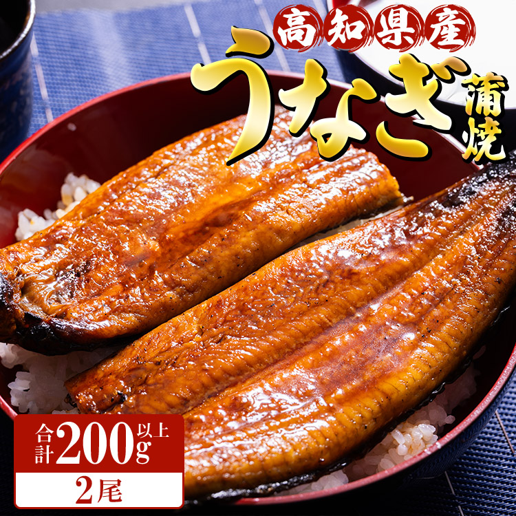 高知県産養殖うなぎ蒲焼 100〜120g 2尾セット(合計200g以上) ss-0044高知県香南市13500魚介・海産物うなぎ