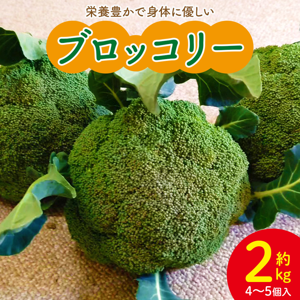 栄養豊かで身体に優しいブロッコリー 約2kg 4〜5個入り - 野菜 やさい 産地直送 国産 旬 朝採れ 新鮮 サラダ スープ シチュー 弁当 おかず 便利 料理 簡単調理 冷凍保存可 高知県 香南市 常温 s