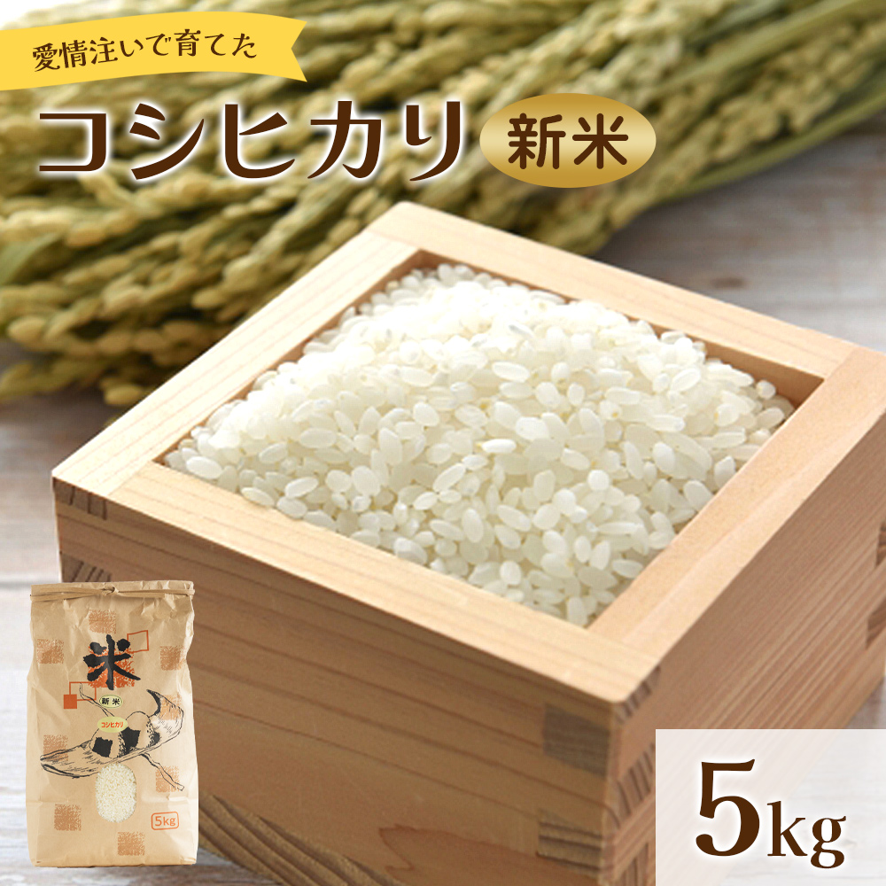愛情注いで育てたコシヒカリの新米5kg - こしひかり お米 白米 精米 ご飯 ごはん 株式会社都築企画 高知県 香南市 td-0004高知県香南市11500米・パン白米