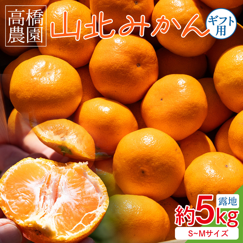 山北みかん 約5kg(露地・S〜Mサイズ)- 果物 フルーツ 柑橘 先行予約 おすそ分け ギフト のし 配送日指定不可 数量限定 期間限定 季節限定  高橋農園 高知県 香南市 th-0008高知県香南市16000果