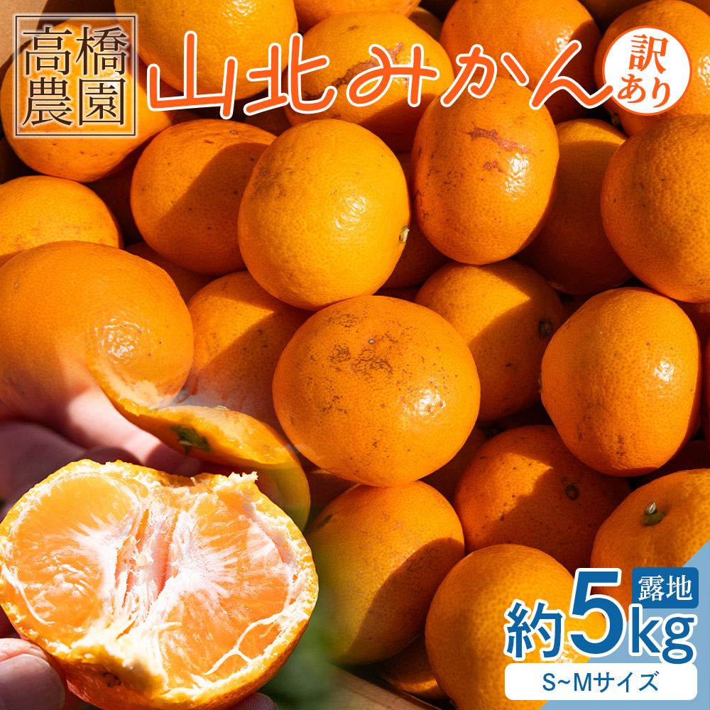 山北みかん(露地・S〜Mサイズ)約5kg 家庭用 - 小傷あり  露地栽培 柑橘 果物 フルーツ ミカン 蜜柑 期間限定 季節限定 家庭用 国産 特産品 高橋農園 高知県 香南市 th-0015高知県香南市11500果