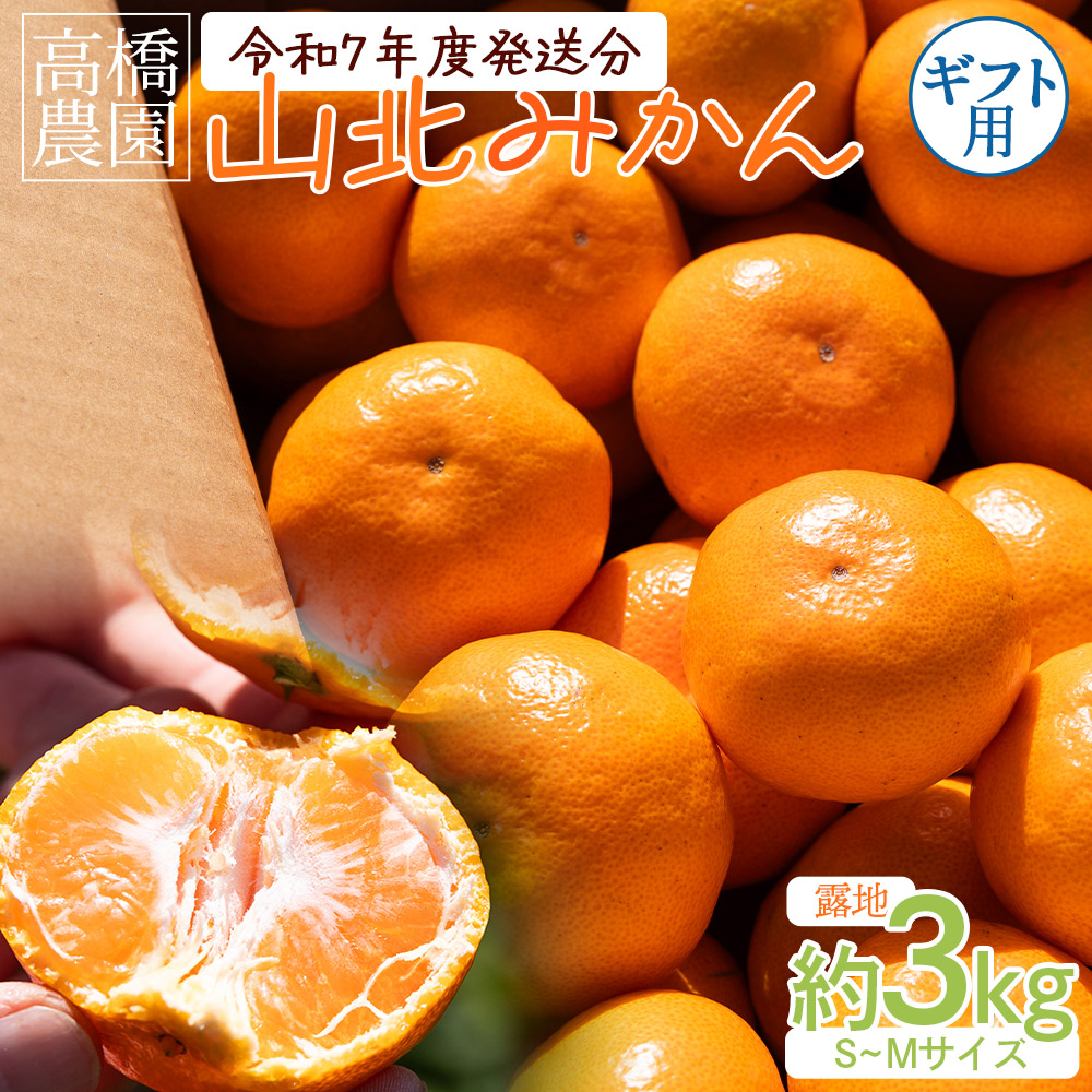 山北みかん 約3kg(露地・S〜Mサイズ)- 果物 フルーツ 温州みかん ミカン 蜜柑 柑橘 甘い  ギフト のし 贈り物 プレゼント 数量限定 期間限定 高橋農園 高知県 香南市 th-0017高知県香南市115