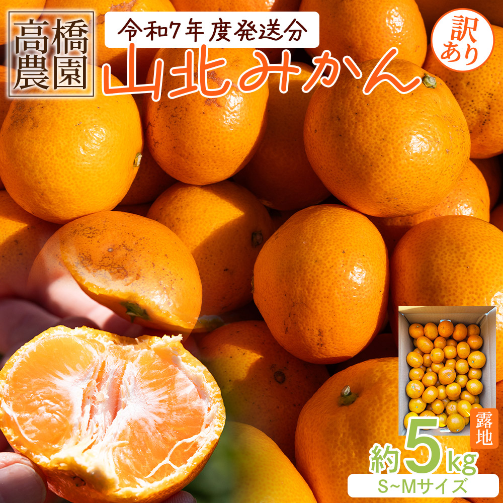 高橋農園【訳あり】山北みかん 露地(S〜M)B品 5kg - 果物 フルーツ ミカン 蜜柑 柑橘 家庭用 自宅用 新鮮 農家直送 露地 高知県 香南市 th-0019高知県香南市10000果物・フルーツみかん・柑橘