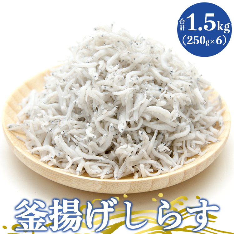 土佐名産 釜揚げしらす 合計1.5kg(約250g×6)- シラス じゃこ ちりめん ご飯のお供 食事 丼 おつまみ 酒の肴 魚 ギフト 贈答 贈り物 高知県 香南市 冷凍 tk-0013高知県香南市19500魚介・海産物そ