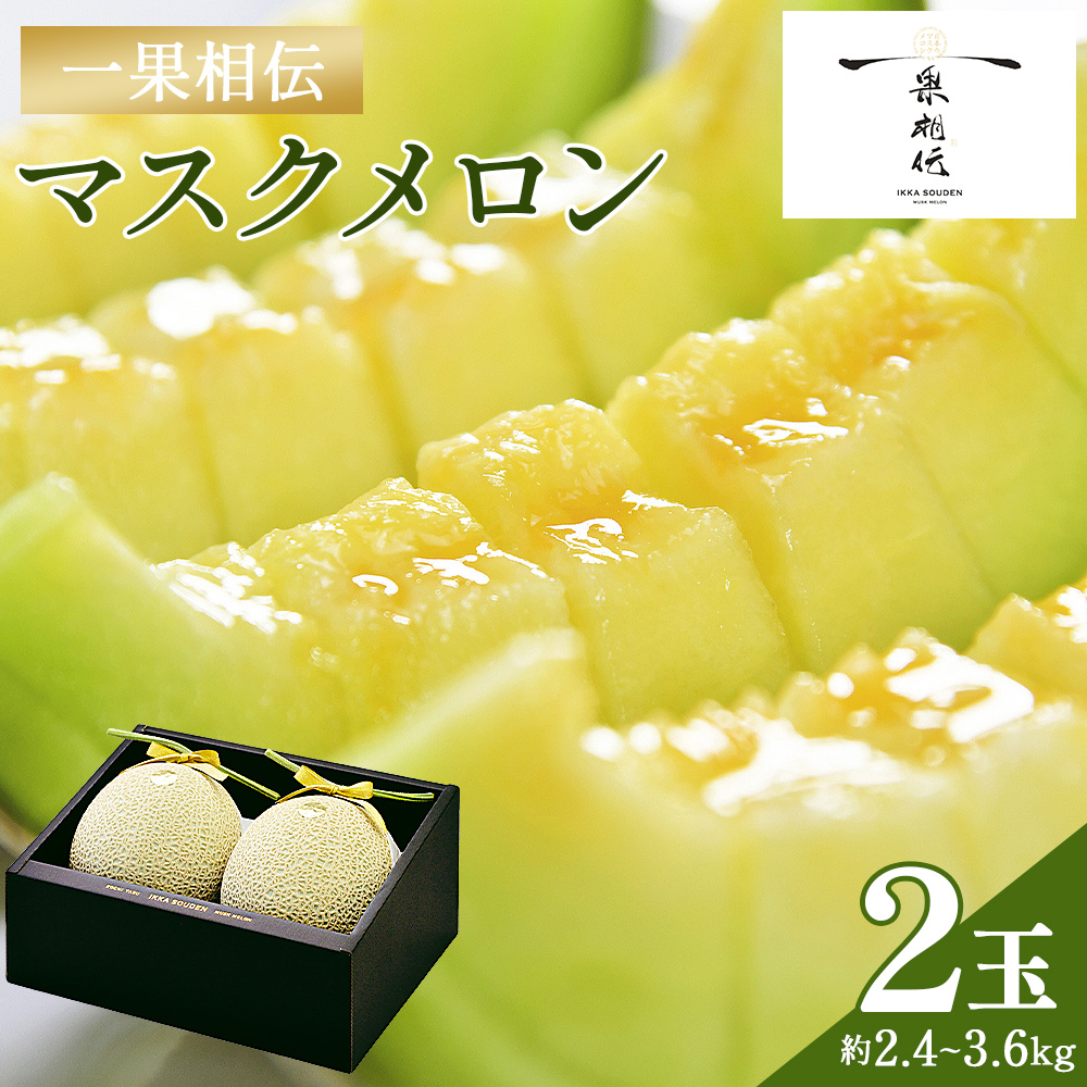メロン 2個 青肉 2玉 贈答 ギフト 高知 一果相伝マスクメロン 青肉 先行予約 フルーツ メロン 果物 デザート tn-0012高知県香南市29000果物・フルーツメロン・スイカ
