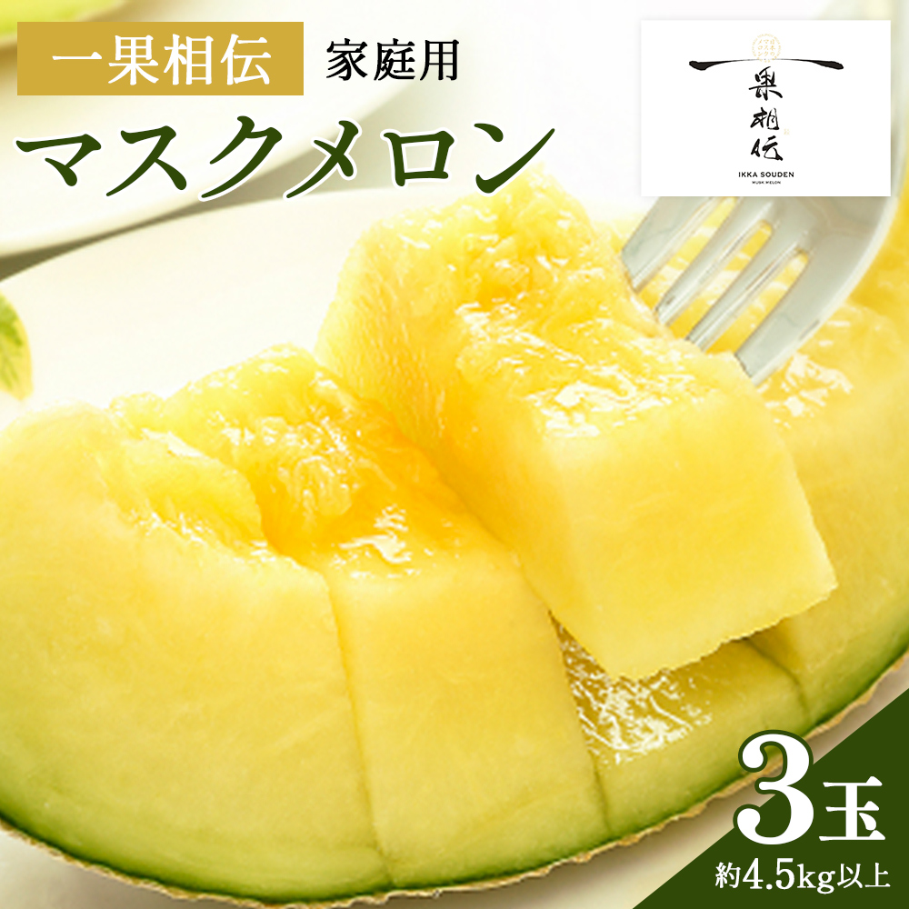 【発送開始】マスクメロン家庭用 3玉入り - 果物 くだもの フルーツ めろん 青肉 デザート スイーツ ご自宅用 ジューシー 果汁 芳醇 幸せ 至福 美味しい 甘い あまい 篤農 産地直送 高知県 香