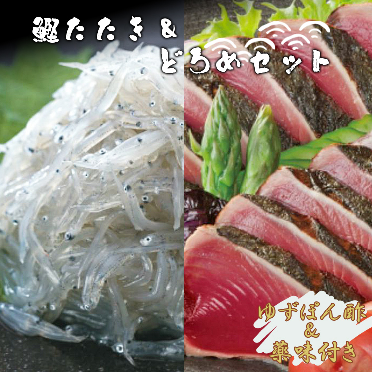 土佐料理司 鰹たたき・どろめセット tr-0015高知県香南市19000魚介・海産物その他 魚介・海産物
