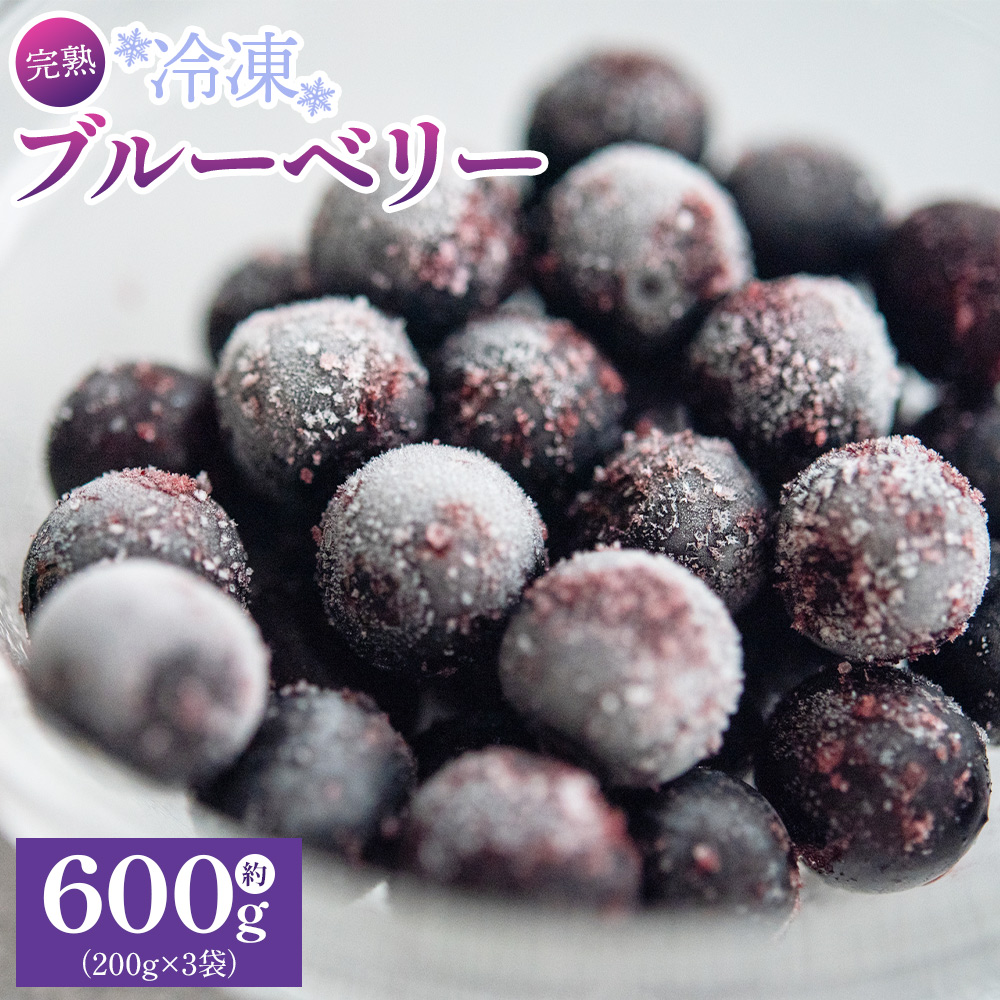 完熟 冷凍ブルーベリー 約600g(200g×3) - フルーツ 果物 くだもの おやつ スイーツ デザート スムージー ヨーグルト ジャム 国産 高知県産 柳本果樹園 高知県 香南市 冷凍 yg-0027高知県香南市10000