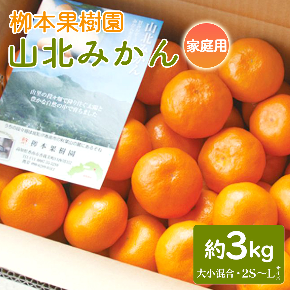 家庭用 柳本果樹園の山北みかん 3kg 大小混合(2S〜L) - 果物 フルーツ 柑橘類 温州みかん ミカン 蜜柑 甘い おいしい 訳あり キズ 大小混合 期間限定 季節限定 数量限定 高知県 香南市 yg-0030高