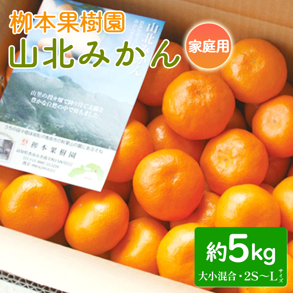 家庭用 柳本果樹園の山北みかん 5kg 大小混合(2S〜L) - 果物 フルーツ 柑橘類 温州みかん ミカン 蜜柑 甘い おいしい 訳あり キズ 大小混合 期間限定 季節限定 数量限定 高知県 香南市 yg-0031高