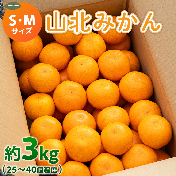 Rk݂ (S,MTCY) 3kg Gi 25`40 Â - ʕ t[c k B݂ ~J  Â   Rk݂炢 m s yk-0050ms11500ʕEt[c