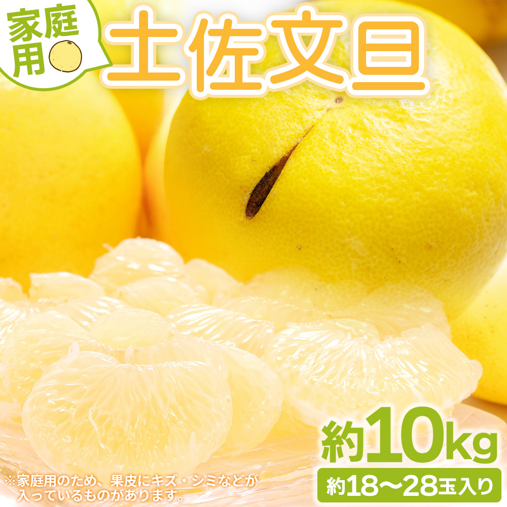 【先行予約】土佐文旦 家庭用 10kg 大小混合(L〜3L) 約18〜28玉入り yk-0052高知県香南市13500果物・フルーツみかん・柑橘類