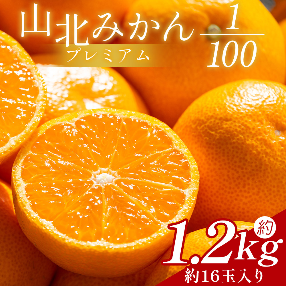 山北プレミアムみかん 1/100(サイズ:S) 1.2kg 約16玉入り - 国産 柑橘 柑橘類 果実 果物 フルーツ 青果 温州みかん みかん 蜜柑 ミカン 高知県 香南市 常温 yk-0056高知県香南市14000果物・フルーツ